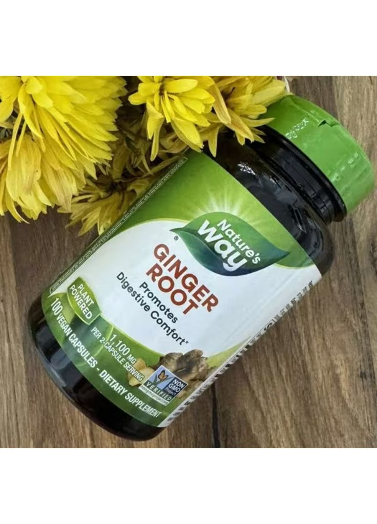 Корінь імбиру Ginger Root 1100 мг 240 капс Nature's Way (357342861)