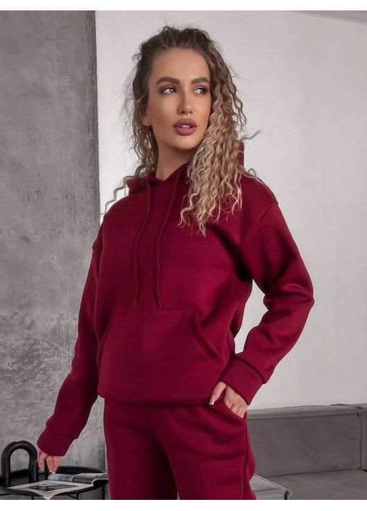 Теплий базовий костюм з капюшоном No Brand (370032301)