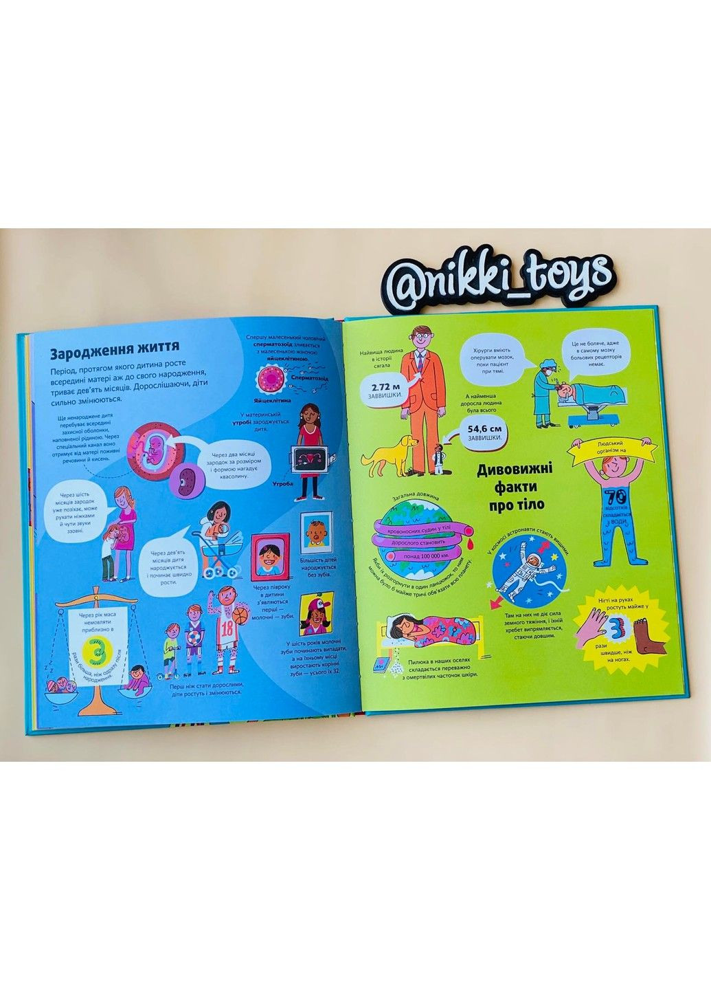 Велика книга про тіло. Лейсі М Артбукс (297214292)