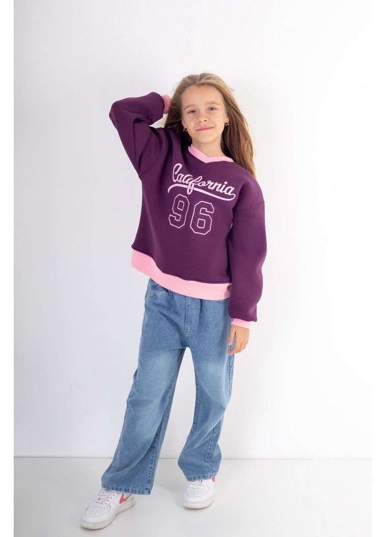 Авекстекс свитшот для девочек 04-8119-107вн 134 см сливовый сливовый футер