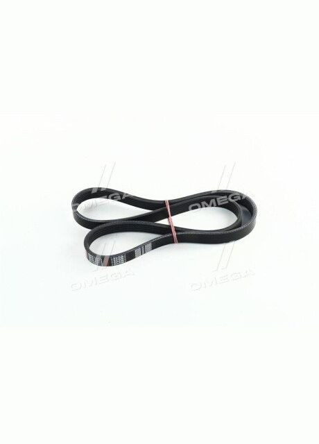 Ремень поликлин. 5PK1010 Daewoo Lanos 1.6 16v (пр-во) 5PK1010 C.I.U Dongil (366183847)