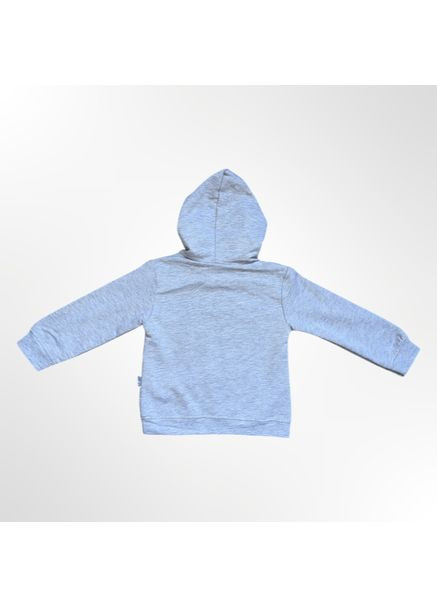 Сірий демісезонний дитячий комплект (кофта з капюшоном + штани) для хлопчика сірий (0370-12) брючний Murat baby