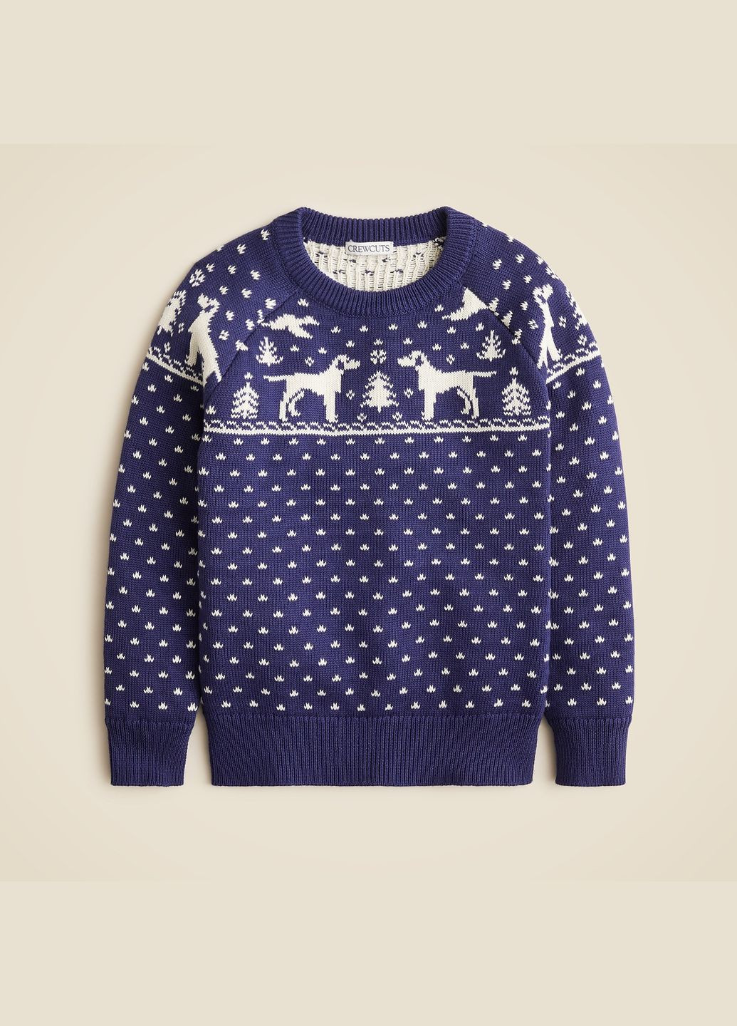 Синий демисезонный свитер Crewcuts