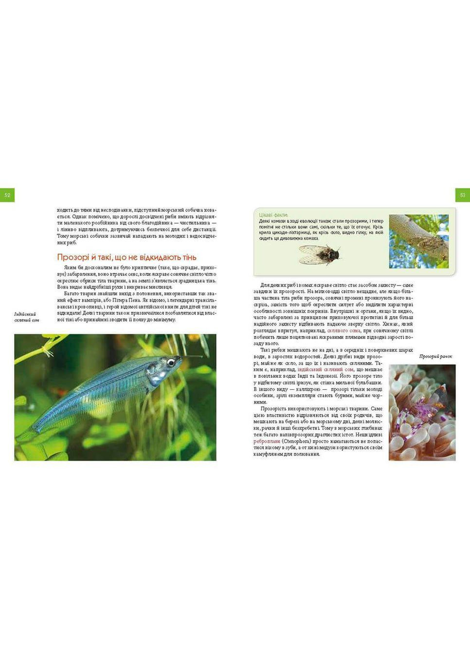 ,Животные мастера маскировки Талант (316082972)