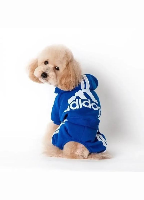 Костюм спортивний для собак Adidog синій XL No Brand (299840173)