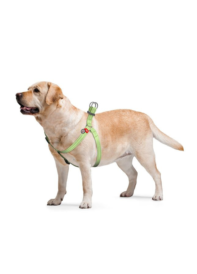 Шлея из восстановленного хлопка WAUDOG Re-cotton с QR паспортом, светоотражающая, пластиковый фастекс, M, Ш 20 мм, Дл 50-75 см No Brand (363201084)