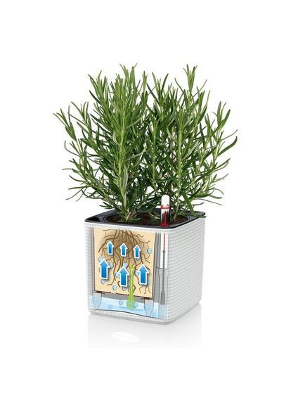 Умный вазон Cube Color 14 1 л белый 13380 Lechuza (316621006)