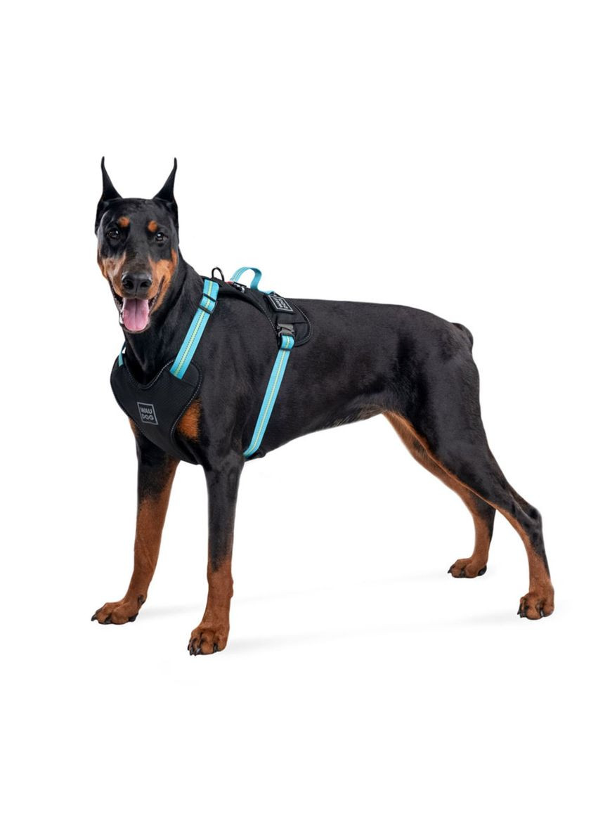 Шлей для собак безопасный Nylon Металлическая пряжкафастекс, XL, Ш 25 мм, А 60-95 см В 80-100 см WAUDOG (279564671)