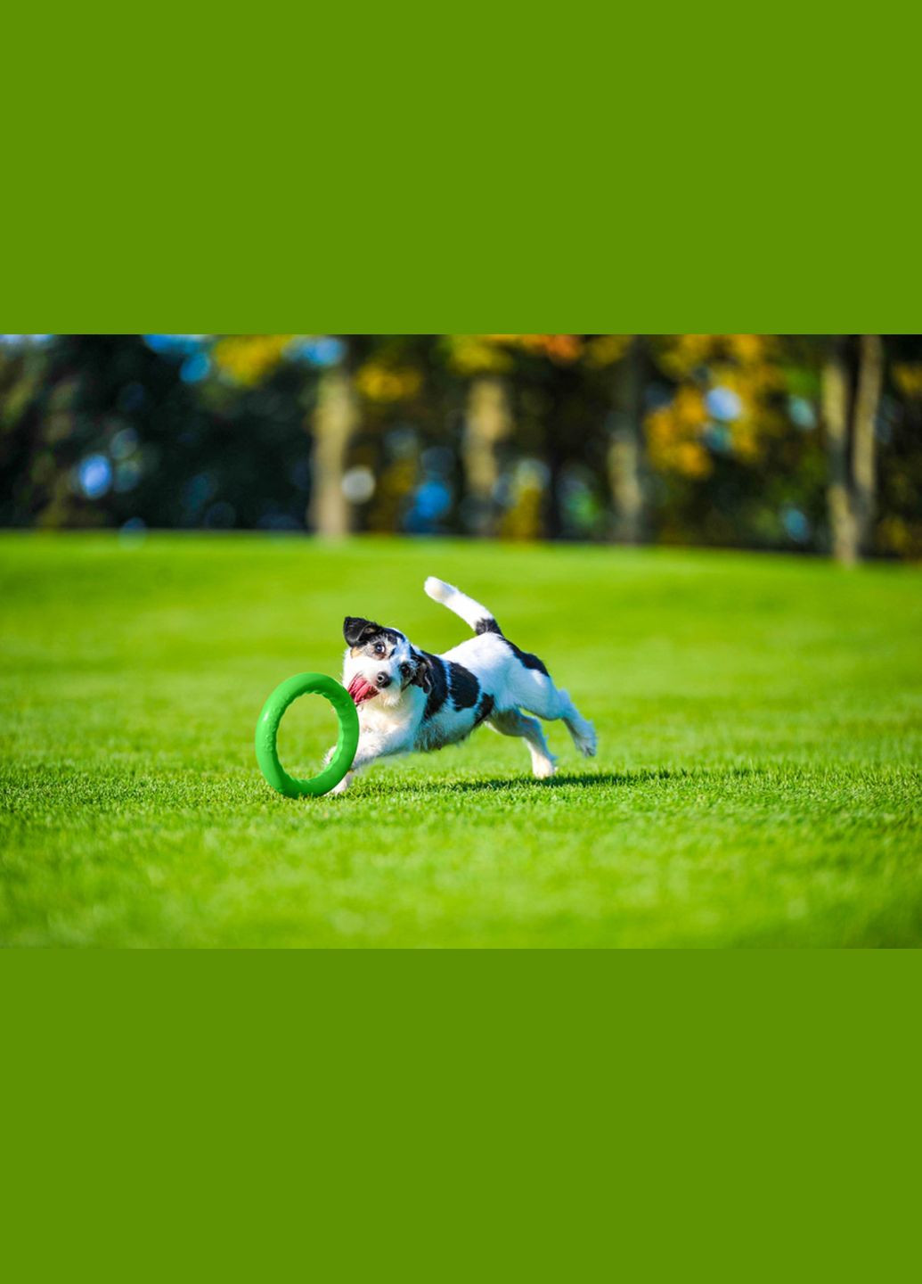 Кільце для апортування 20 д-20 см Салатове PitchDog (315598986)