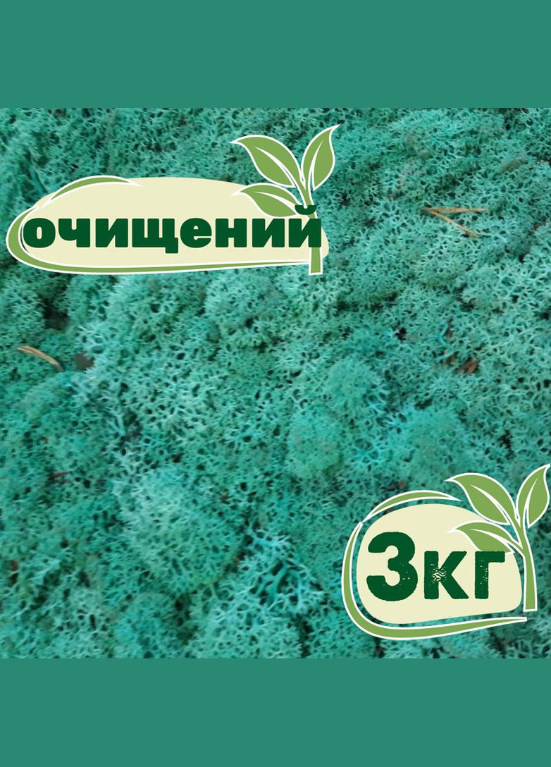 Очищений стабілізований мох ягель Смарагдовий 3 кг Nordic moss (276401179)