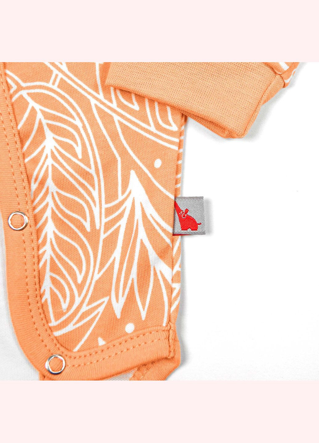 Боди для девочки от трех месяцев Nectar с принтом колибри Tunes (315893627)