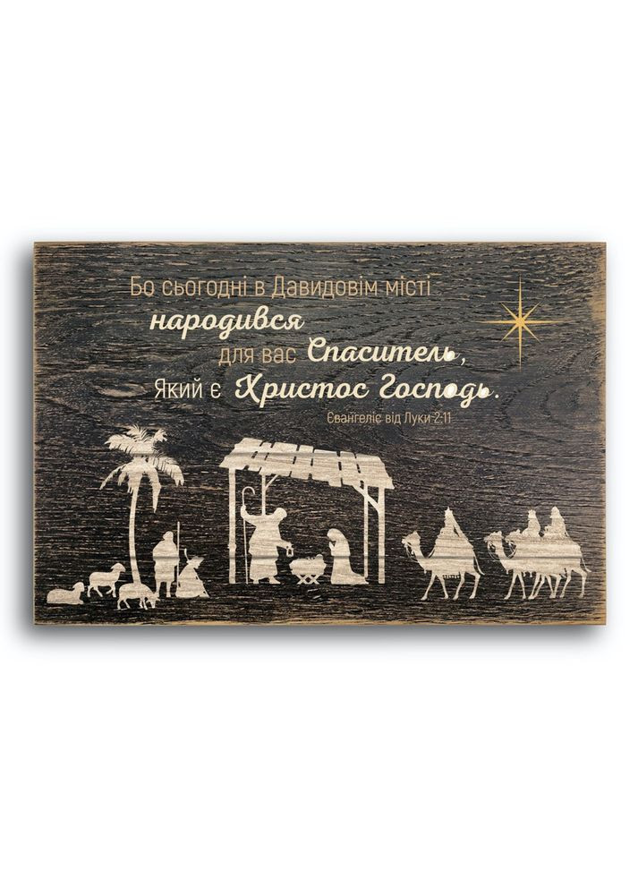 Декоративна дерев'яна плакетка 30х20 Бо сьогодні в Давидовім місті хрпл1110кву Тур-Колекшн (358221799)