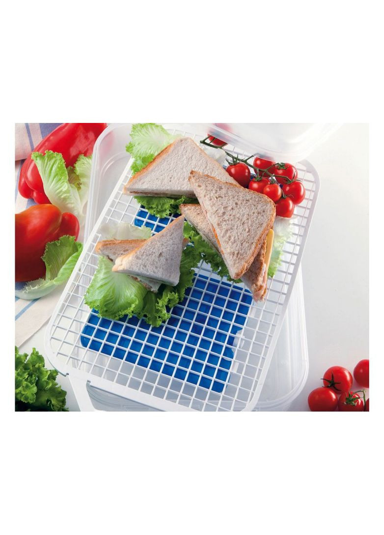 Контейнер для пикника, 7л Snips (329407418)