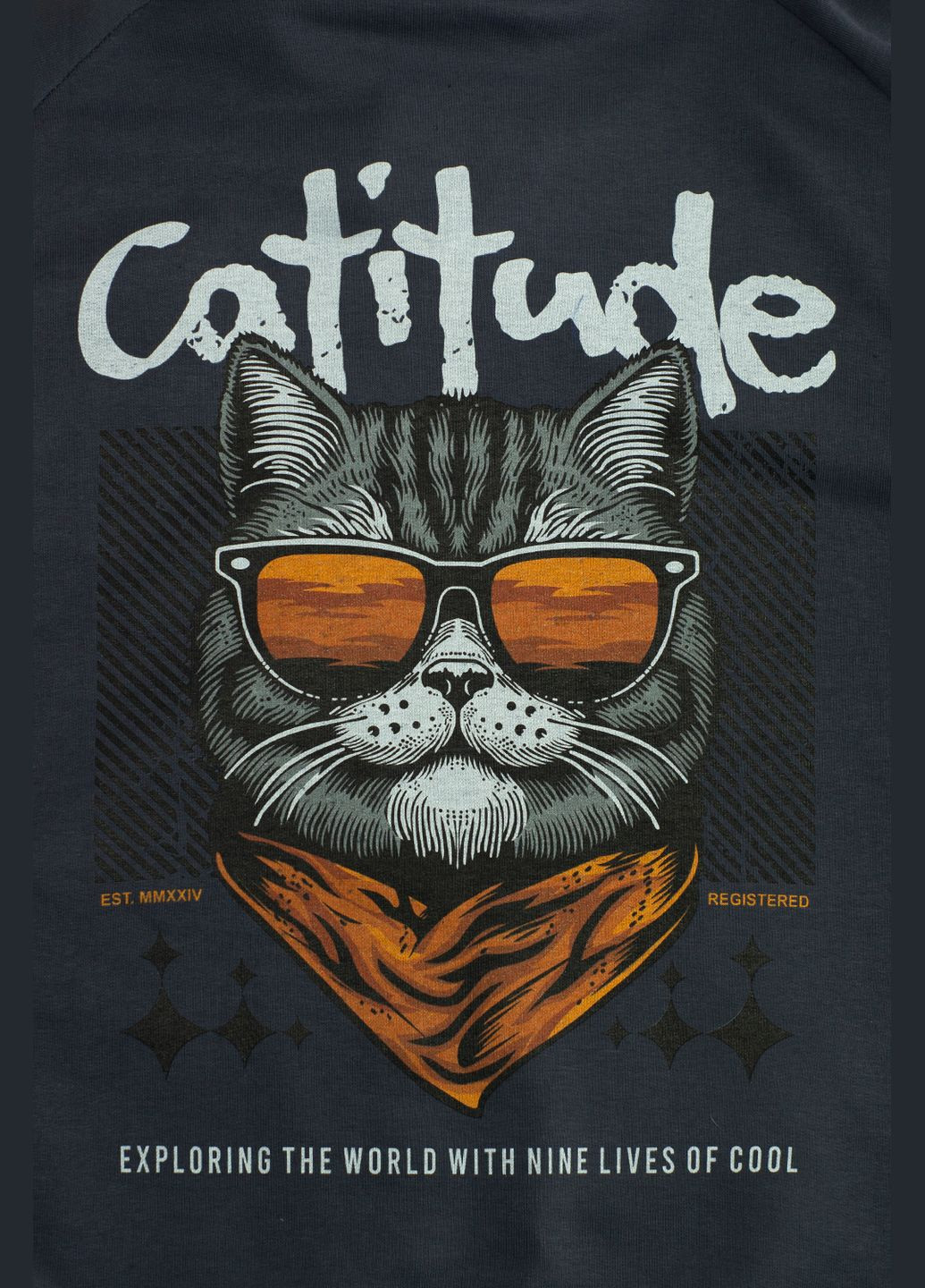 Костюм спортивний чоловічий Макс тринитка футер сірий грі, з принтом Catitude (DTG) роз. 2XL 4PROFI (316090843)