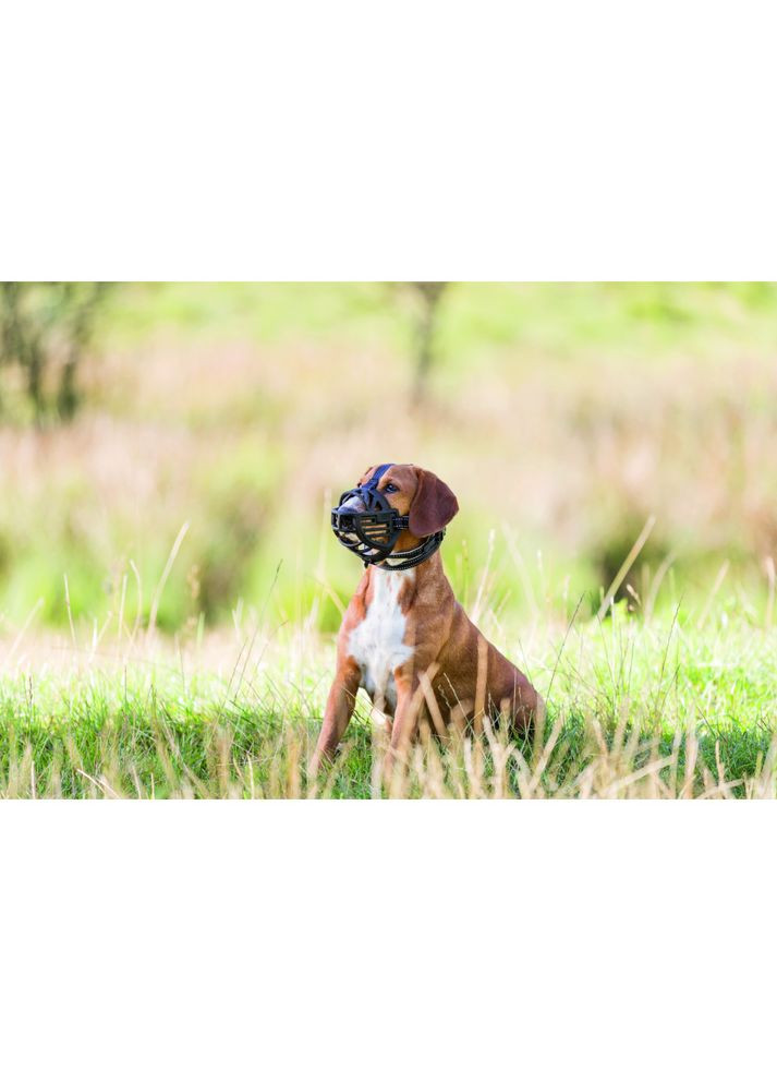 Намордник для собак резиновый XL–XXL Trixie (372504830)