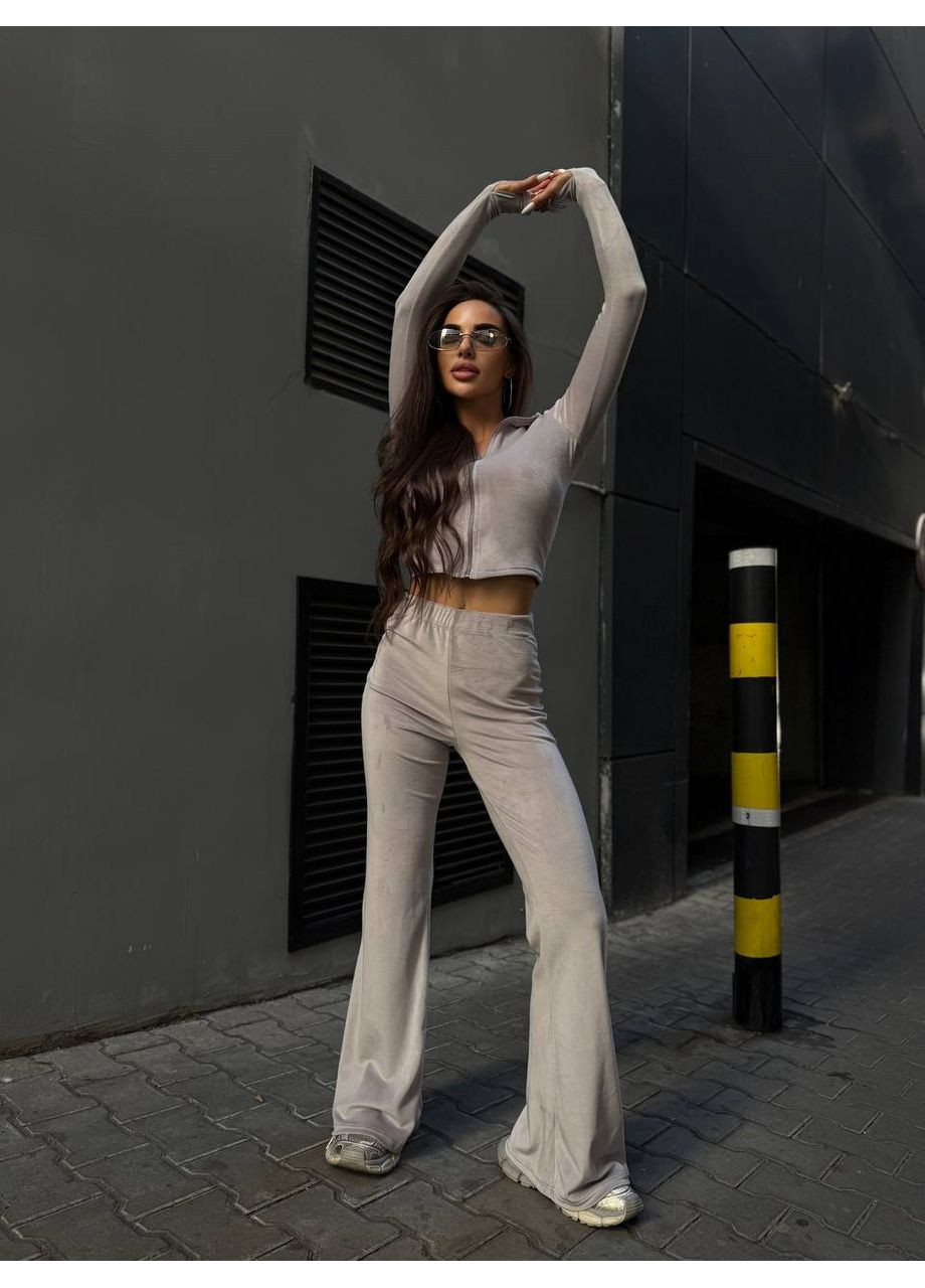 Жіночий велюровий спортивний костюм FINO Mode (361659412)