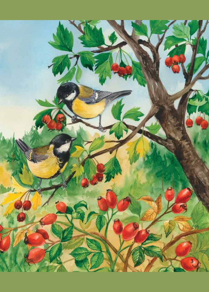 Детская энциклопедия про лес 614016 для дошкольников Ranok Creative (308997146)