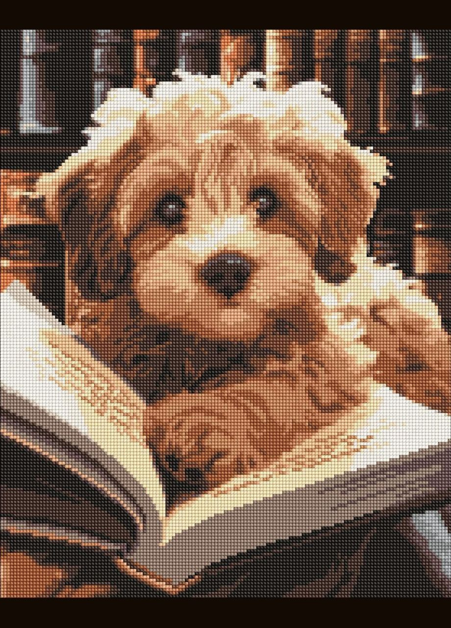 Алмазна мозаїка Пухнастий читач Ідейка 40 х 50 AMO7973 IDEYKA (354828702)