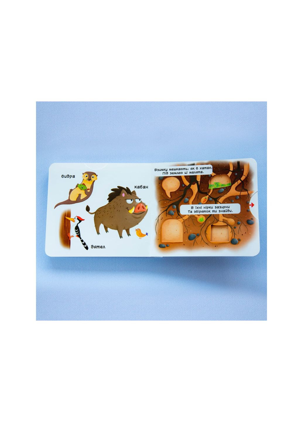 Книжка з механізмом. Перша книжка з рухомими елементами. Лісові тварини. Кристал Бук (351346699)