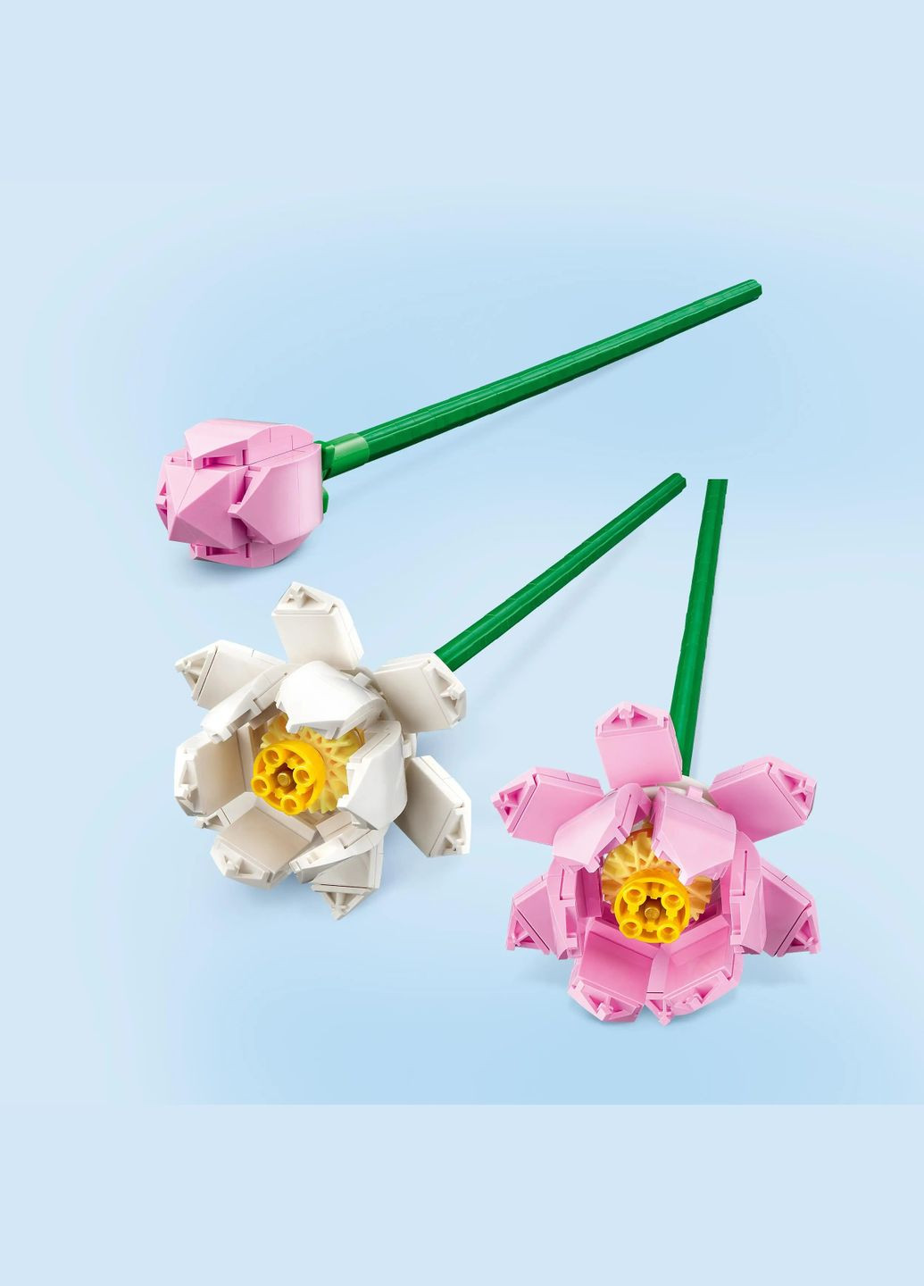 Конструктор Botanicals Цветы лотоса, 220 деталей () Lego 40647 (328395992)
