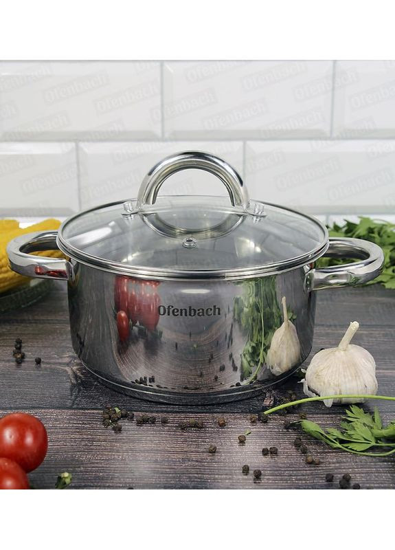 Каструля індукційна з нержавіючої сталі 2л з кришкою для приготування та запікання каструля з паровідведенням Ofenbach (368981834)