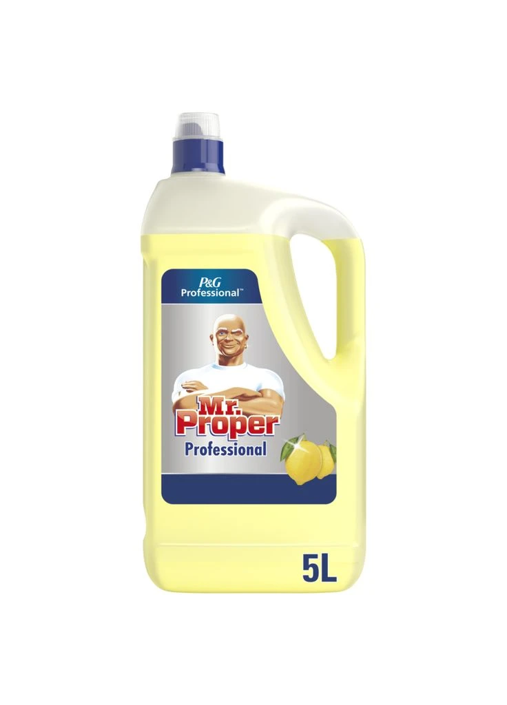 Засіб для миття підлоги Professional Універсальний Лимон 5 л (8700216250313) Mr. Proper (396710714)