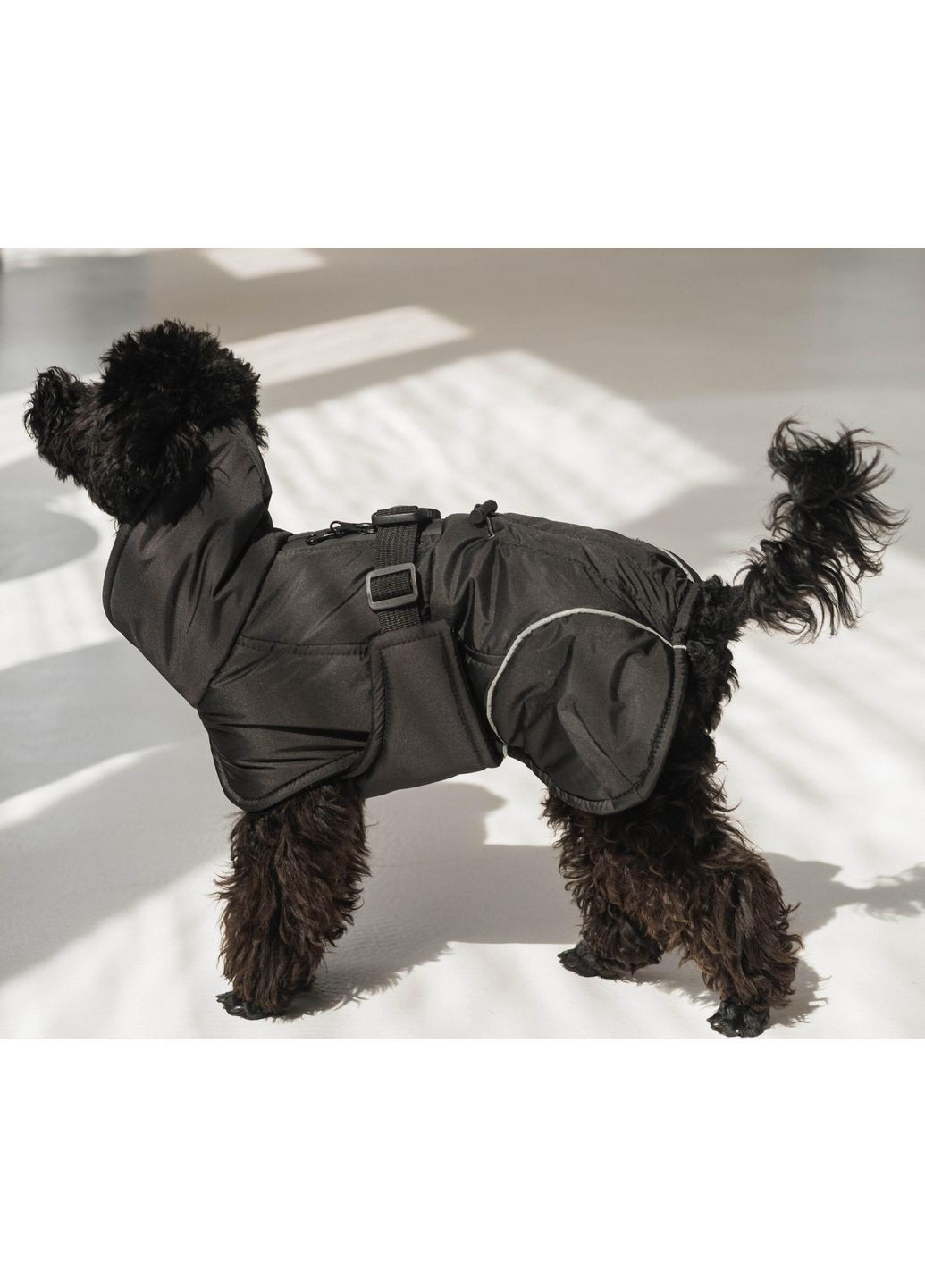 Жилет попона черный GP-6 Размер 8 Dogs Bomba (370275624)