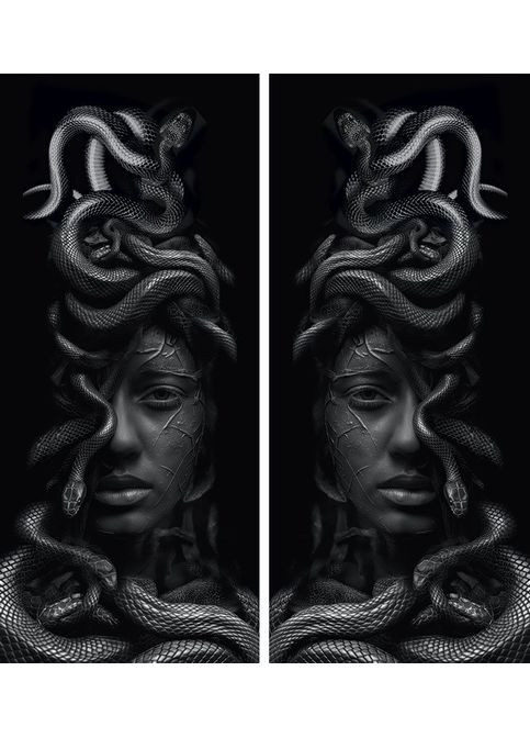 Наклейки на стійки дверей авто 3D TUNING STUDIO Дівчина змія 500х220х0.080мм=2штуки No Brand (362498082)