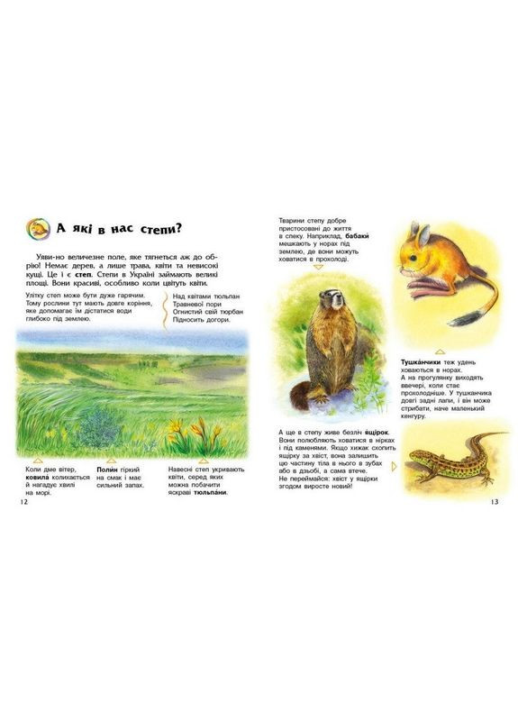 Детская книжка "Энциклопедия дошкольника. Украина" 614044 Ranok Creative (372445582)