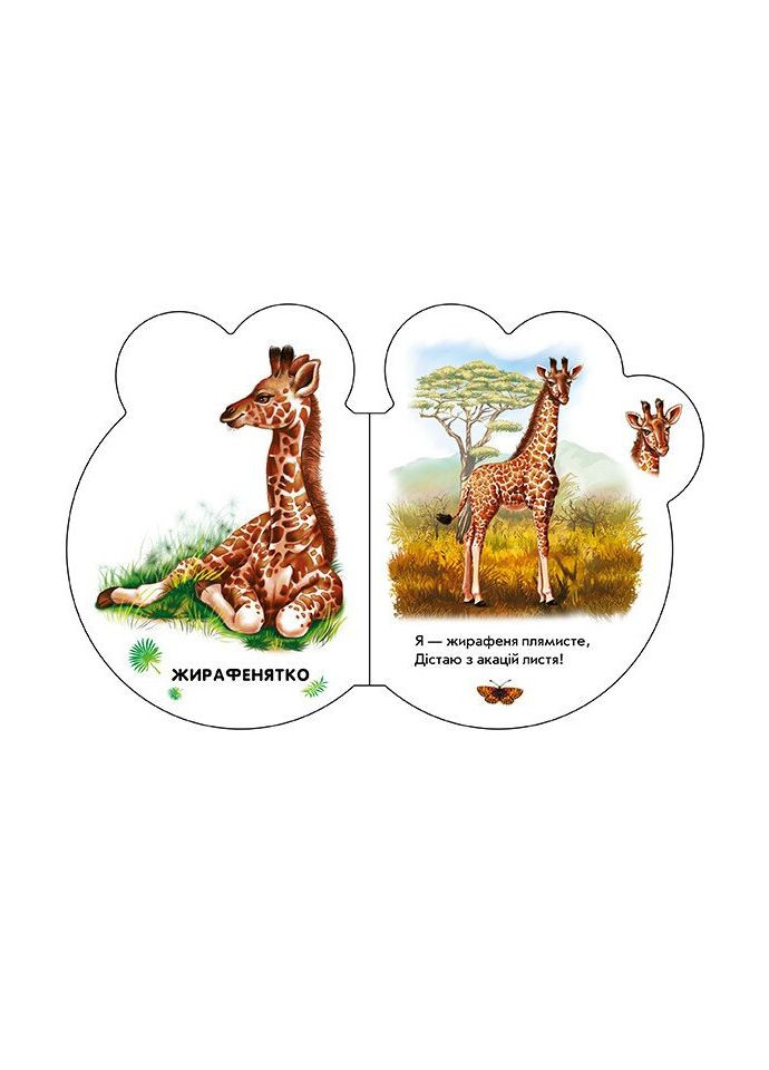Книга-картонка "Малыши в зоопарке" М411018У 9789667508616 РАНОК (294050714)