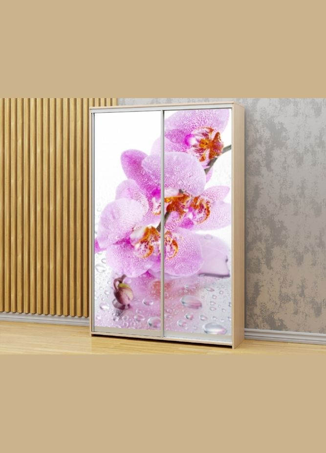 Наклейка на шафукупе 220 x 60 см на 2 двері Орхідеї (БП-а_fl12883) Декоинт (276708648)