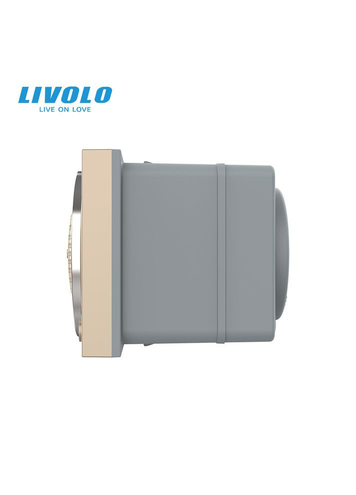 Механізм Bluetooth колонка золото (VL-FCF-2AP) Livolo (371777229)