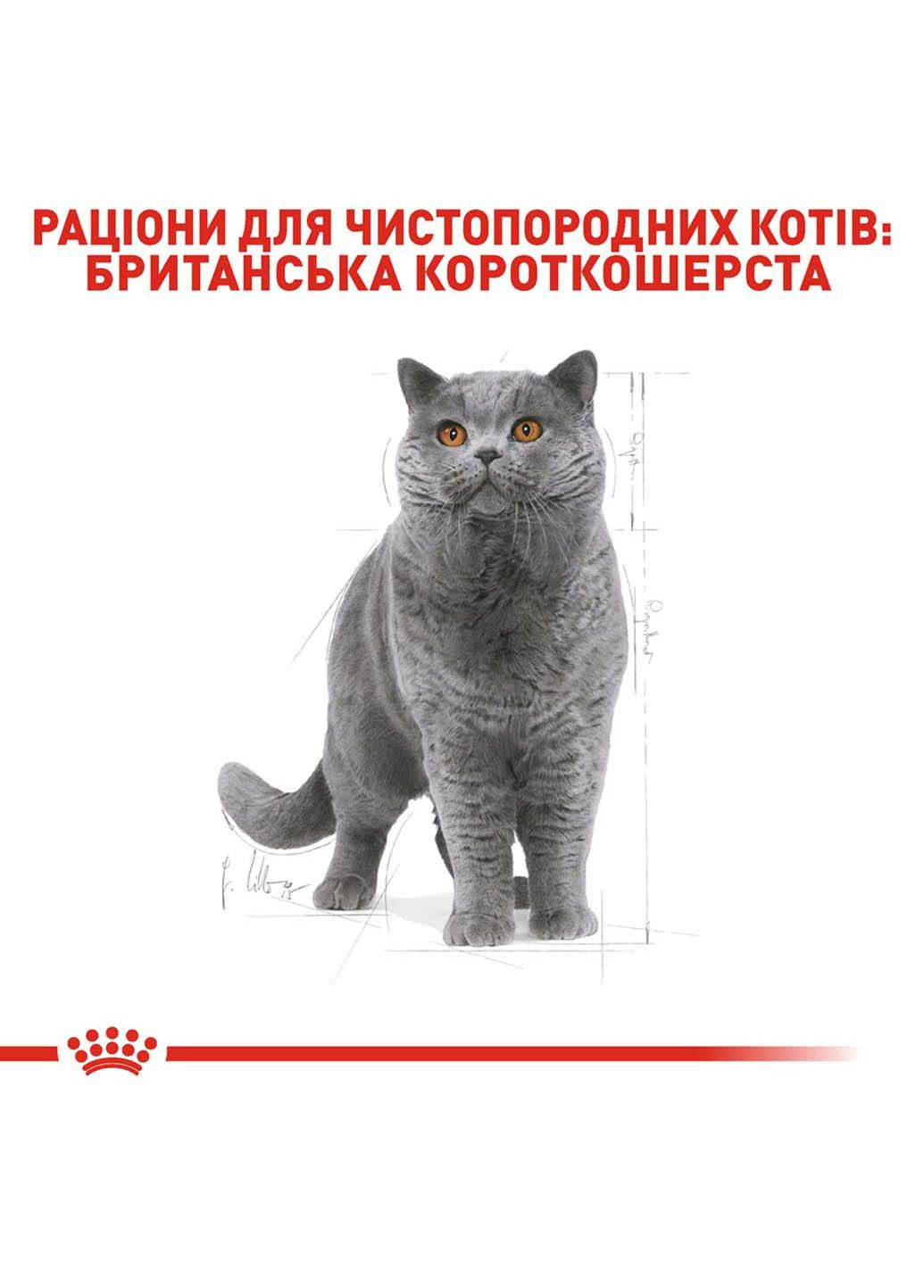 Сухой корм для взрослых кошекish Shorthair Adult 10 кг Royal Canin (286472681)
