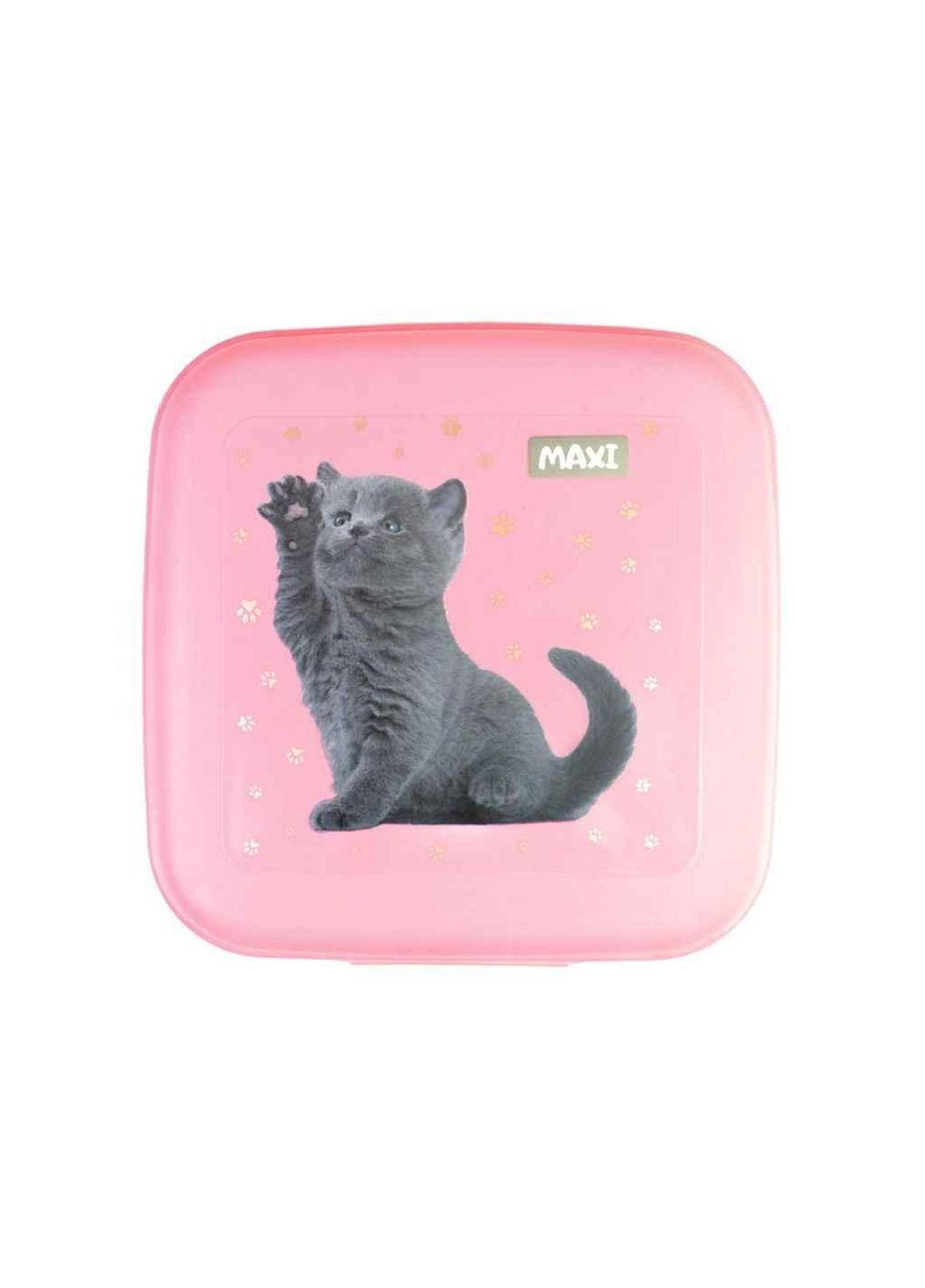 Ланч-бокс (контейнер для еды) 850 мл ТМ Maxi (358911838)