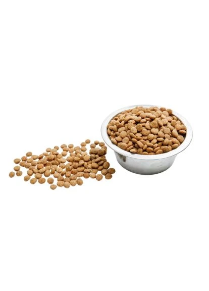 Сухий корм для кішок Beef 400 г (4820111141722) Wise Cat Beef 400 г (401808077)