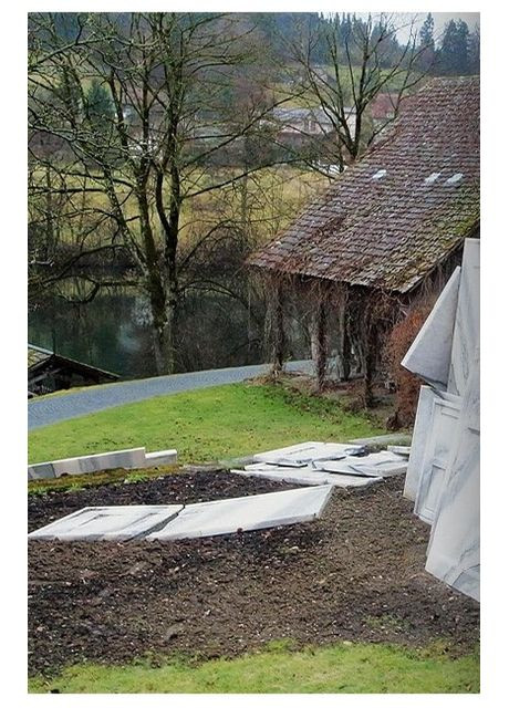 Книга Ai Weiwei. 40th Ed. (9783836581950) Taschen (364654121)