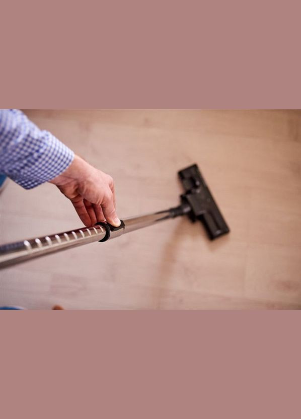 Пилосос RO2957EA Rowenta (373003937)