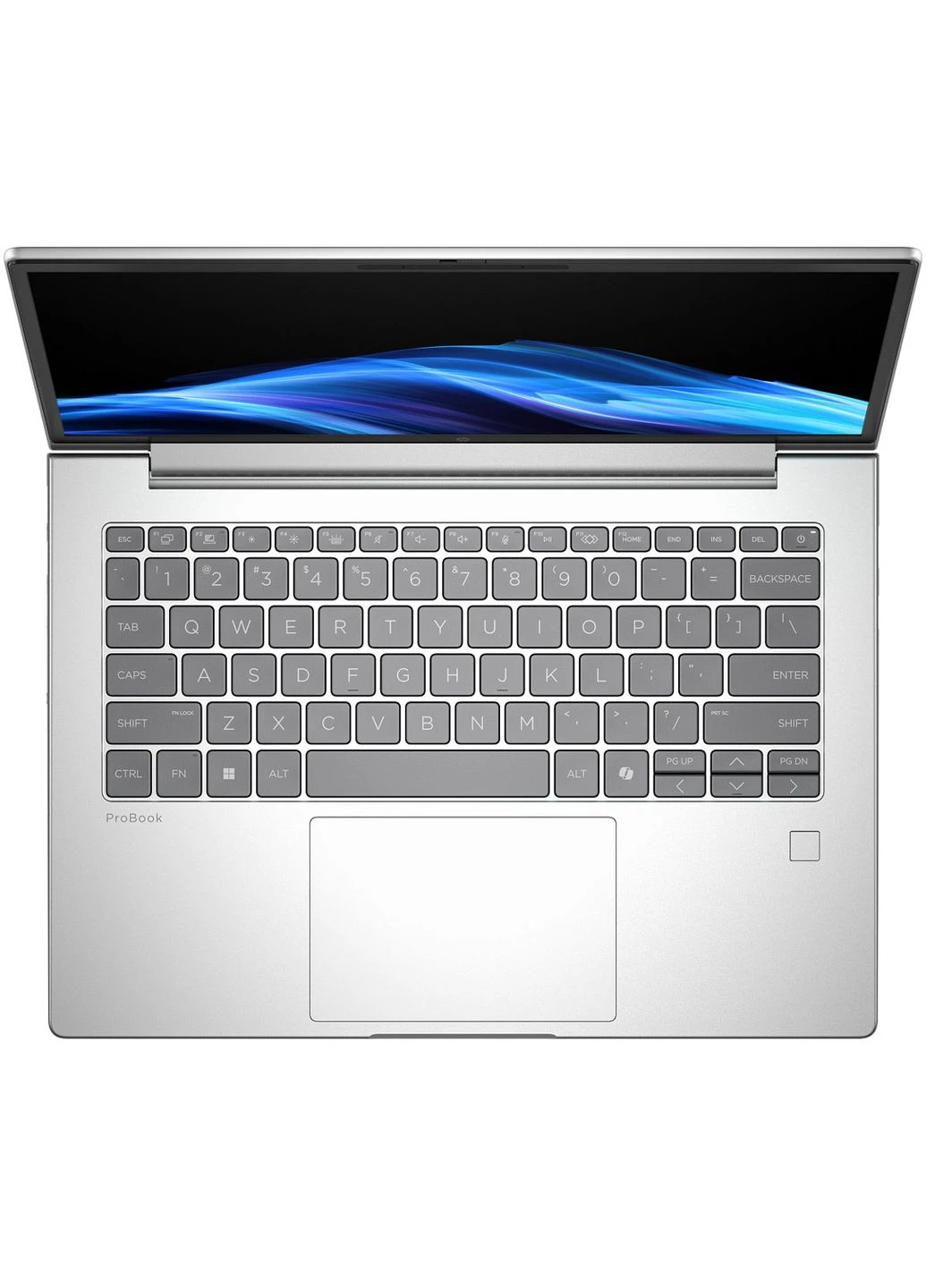 Ноутбук ProBook 4 G1i 14' WUXGA IPS, 300n/U7 255U (5.2)/32Gb/SSD1Tb/Intel Graphics/FPS/Підсв/DOS (AT6F5AV_V3) HP (362213512)