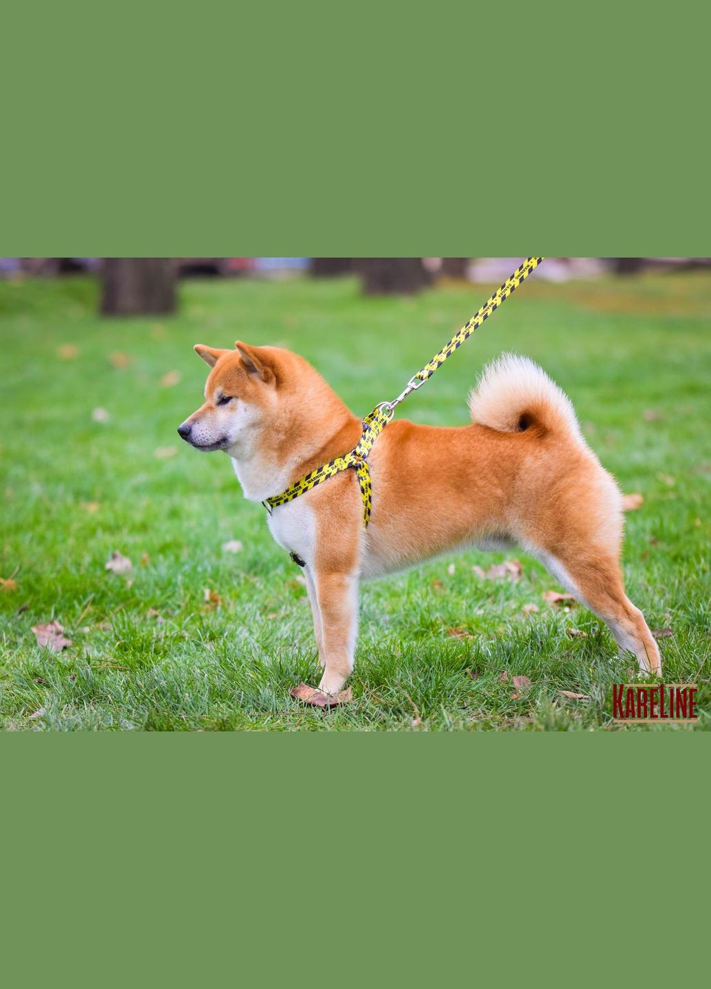 Шлей из нейлона с узором "WARNING" и пластиковой пряжкой 20 мм А:400-560 мм, В:440-620 мм Kareline (339074985)