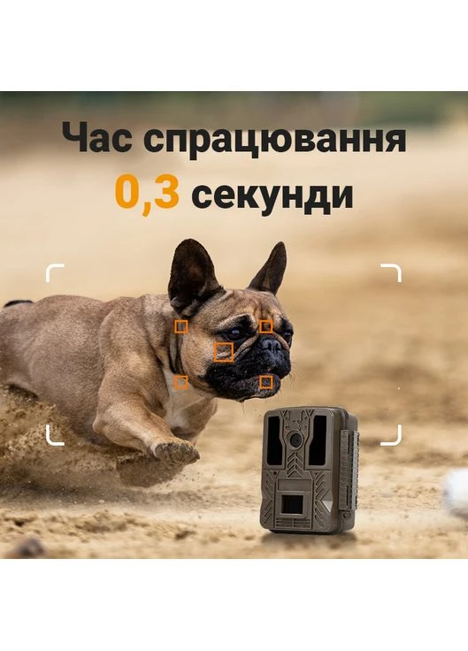 Фотоловушка, охотничья камера BST880, 4К, 20МП, базовая, без модема Suntek (376267482)