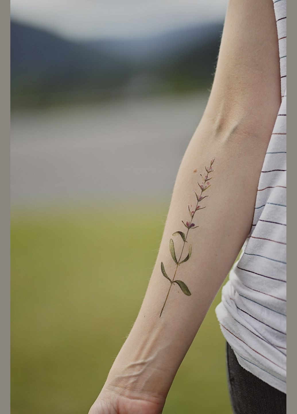 Временное тату "Стебель нежности" Arley Sign (295265766)