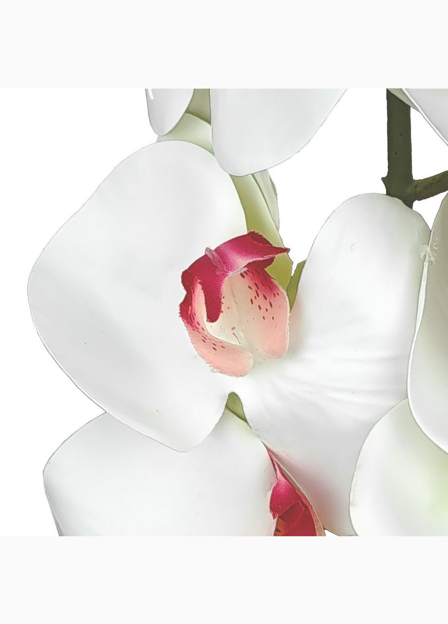 Цветок искусственный Орхидея белая/розовая серединка 1009 No Brand (272149487)
