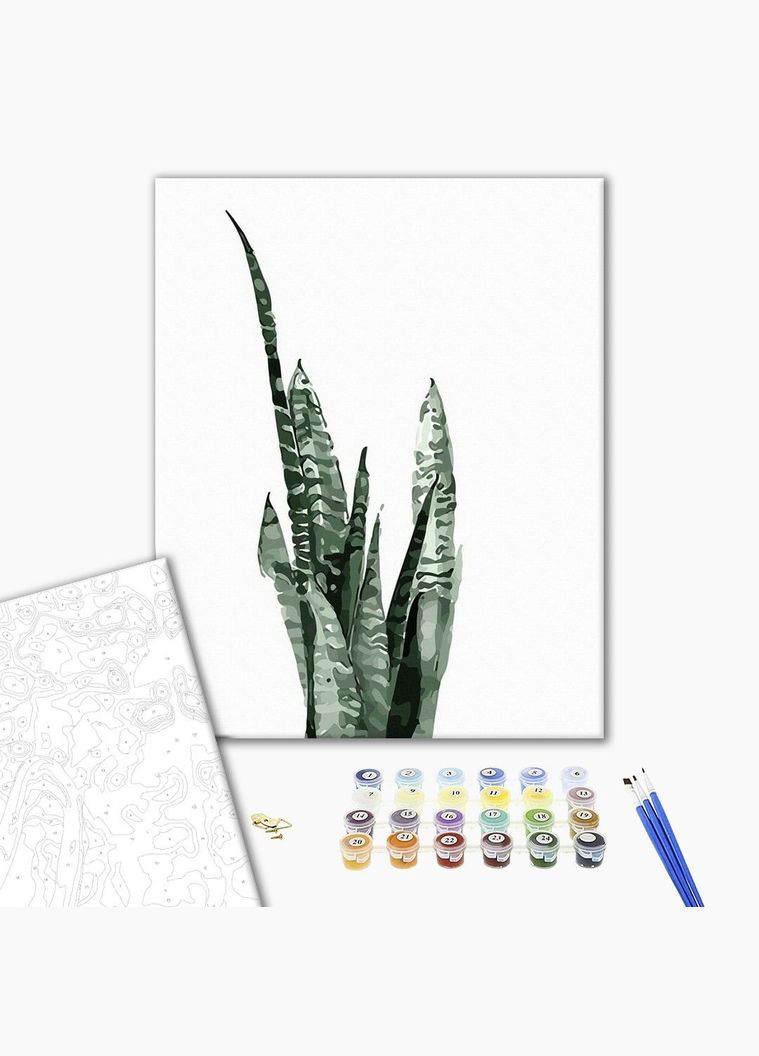 Картина за номерами Сансевієрія аквареллю 40х50 Малювання по номерах Картини за номерами рослини GT61071 Brushme (308987977)