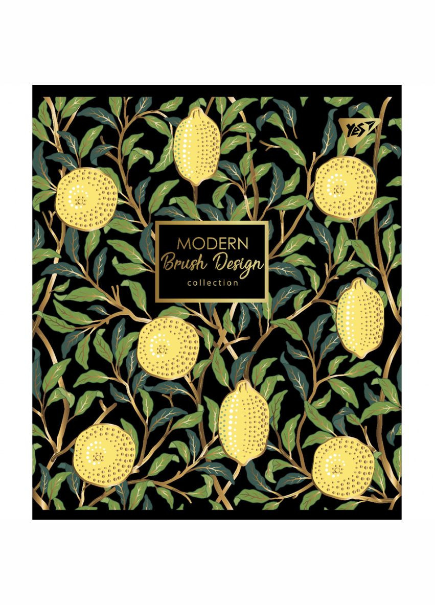 Зошит для записів А5 Modern 766874 48 аркушів Yes (364493897)