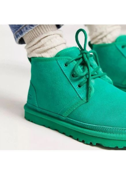 Черевики UGG (372004266)