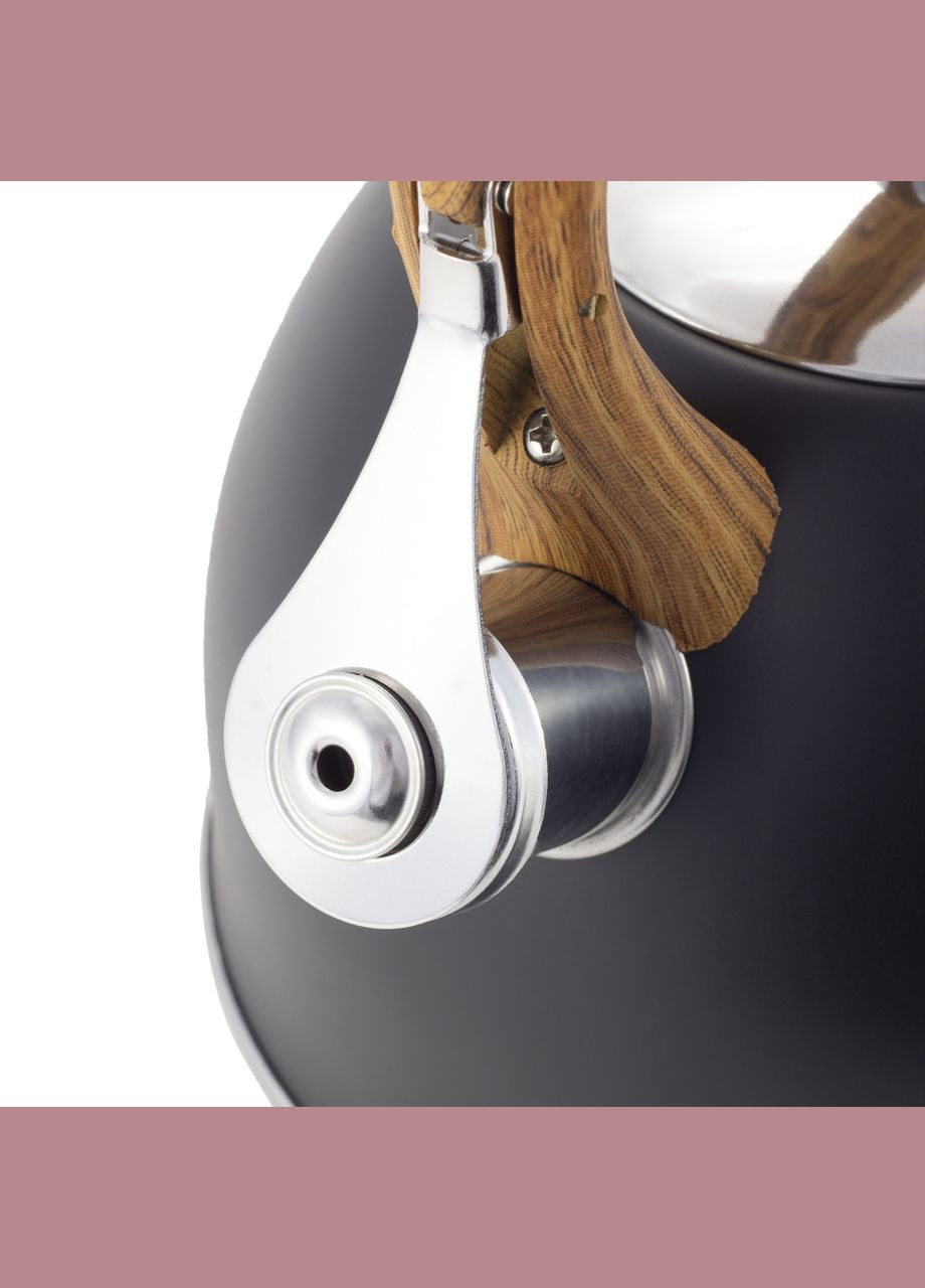 Чайник 2,5 л. з нержавіючої сталі зі свистком Графіт Kamille (311601859)