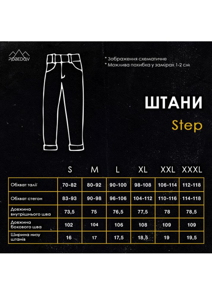 Чоловічі демісезонні штани бавовняні чорні Freedom (357235875)