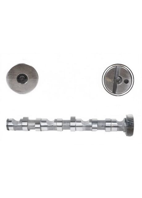 Вал распределительный VAG 2.5TDI AKN/AFB/AKE/AYM/BFC EX (CYL 4-6) CM05-2123 Freccia (366181113)