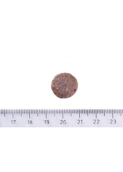 Сухой корм Dog Hypoallergenic Junior Large Breed для молодых собак больших пород, гипоаллергенный с ягненком, 12 кг Brit Care (322874492)