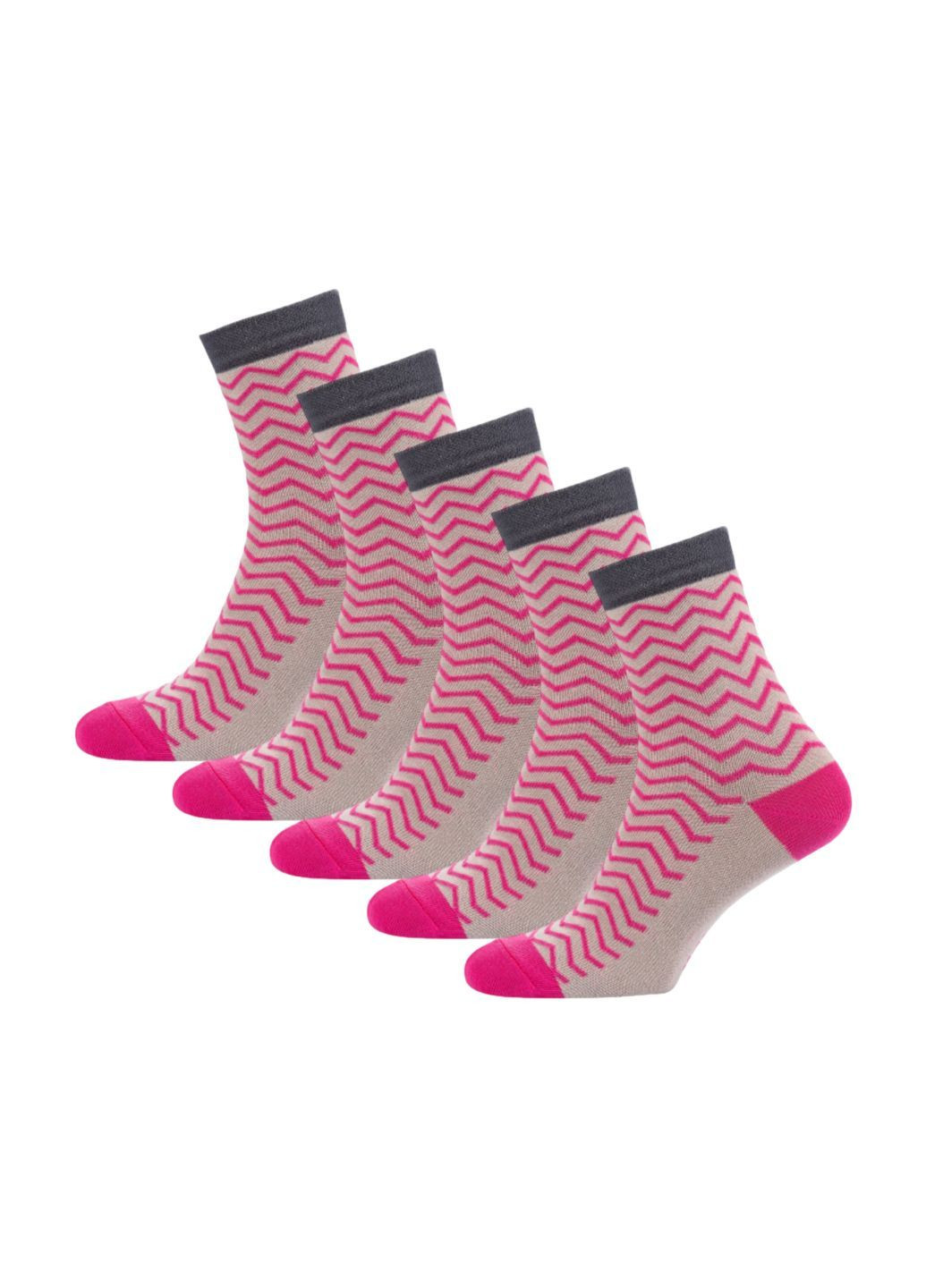 Бежеві набір (5 шт) жіночих шкарпеток Siela (302517171)